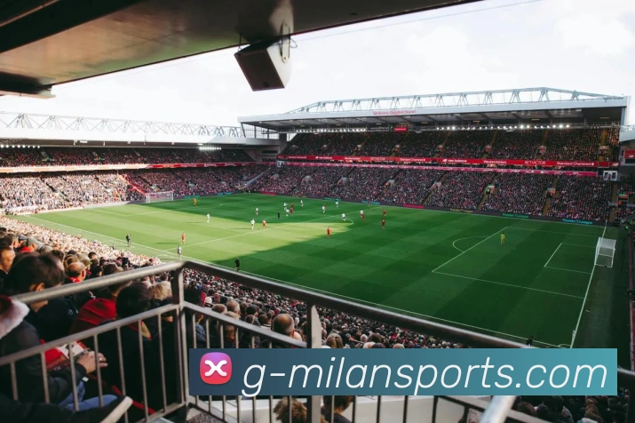 米兰体育平台生态图