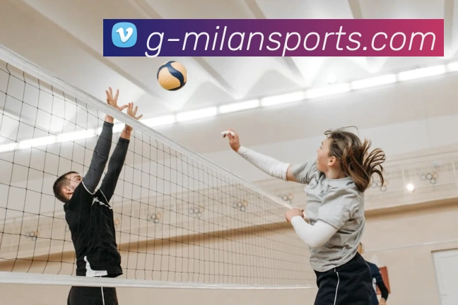 米兰体育APP 封面图