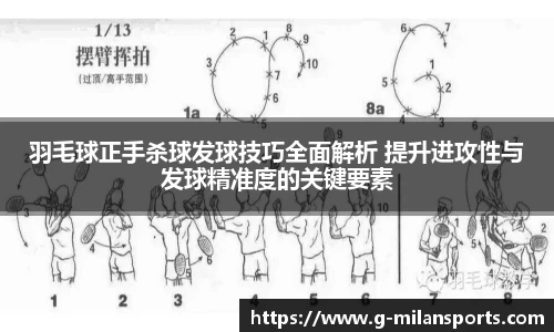 米兰体育官网